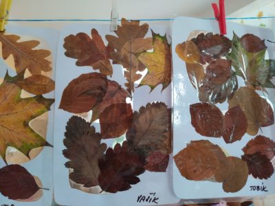 Přírodninový den u Koťátek