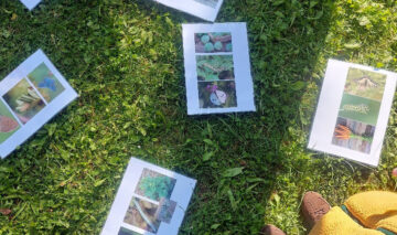 Motýlci a Koťátka- Louka plná dětí