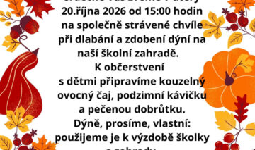 DÝŇOHRANÍ