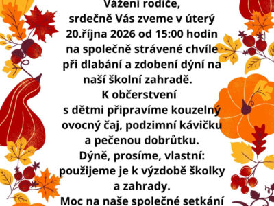 DÝŇOHRANÍ